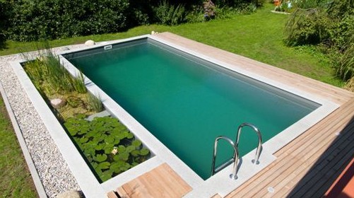 natural-swimming-pool