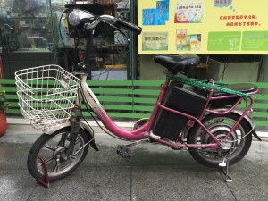 chines-electric-bike-16